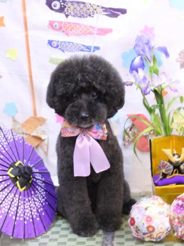 20240525ラブくん